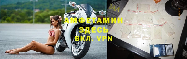 гашик Каменногорск