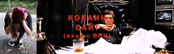 тгк Богородицк