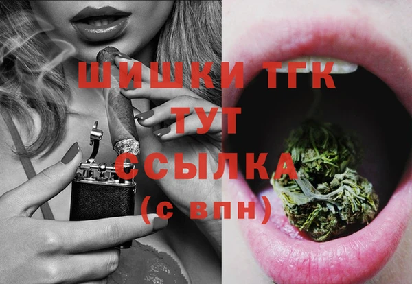 тгк Богородицк