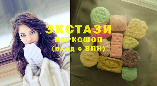 индика Краснослободск